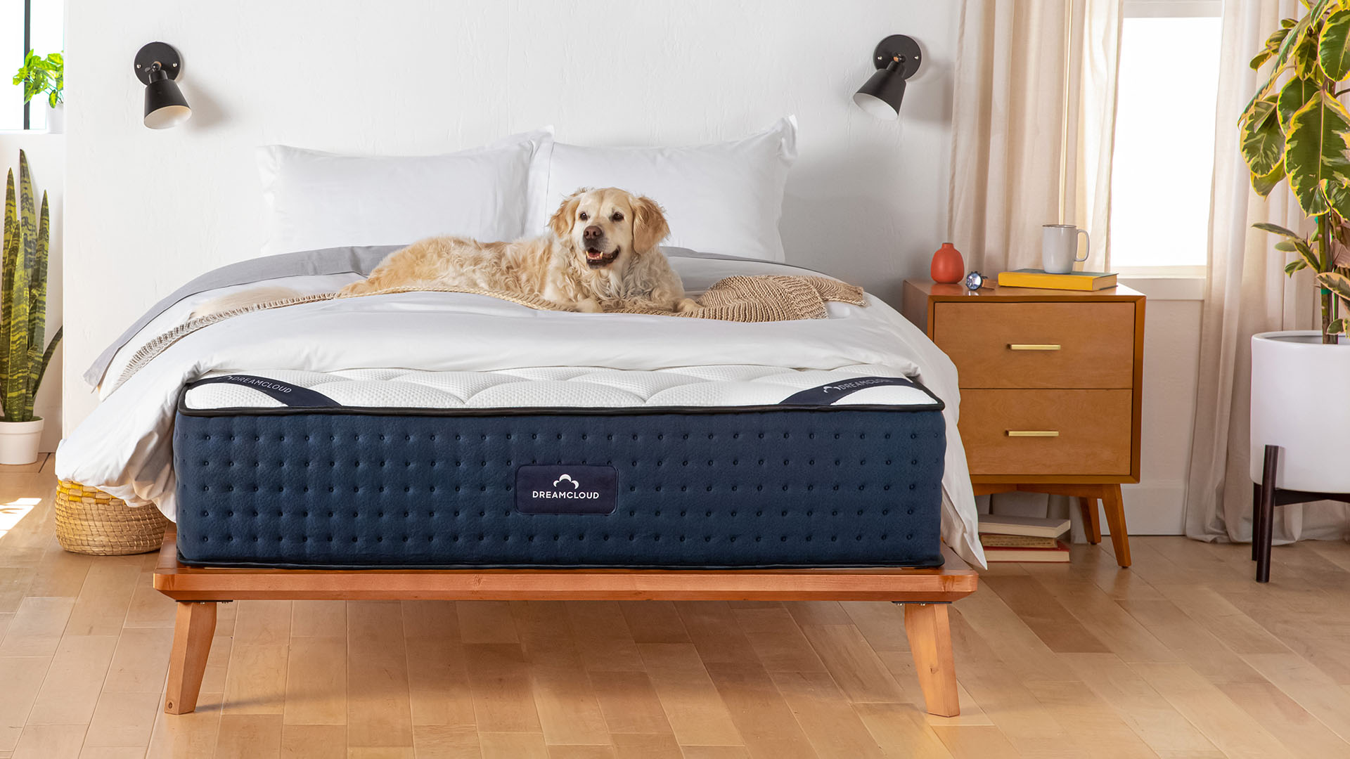 DreamCloud Luxury Hybrid mattress in a bedroom